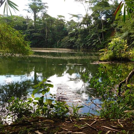 Rainforest Eco Lodge Suva Kültér fotó