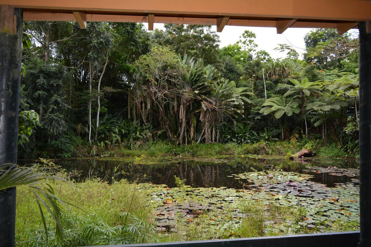 Rainforest Eco Lodge Suva Kültér fotó