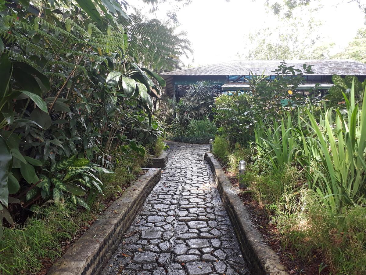 Rainforest Eco Lodge Suva Kültér fotó