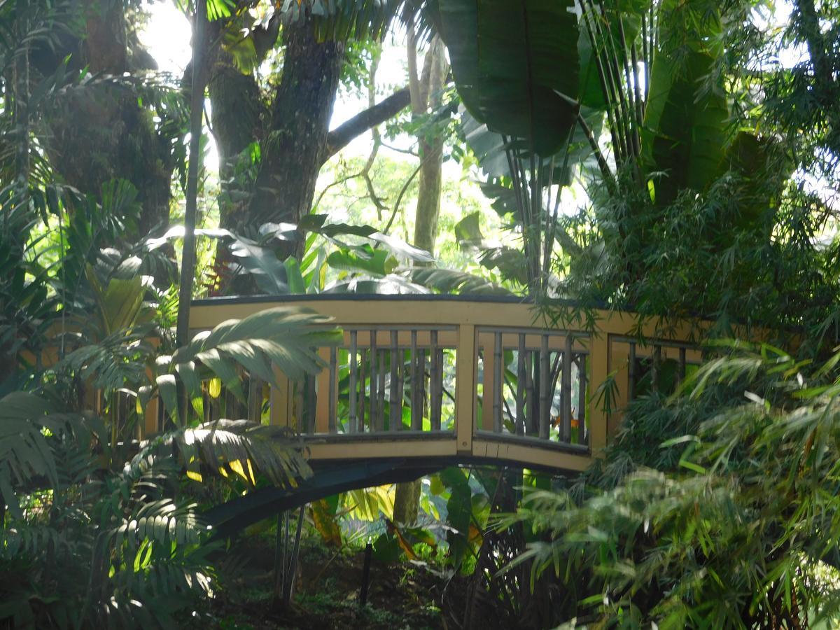 Rainforest Eco Lodge Suva Kültér fotó