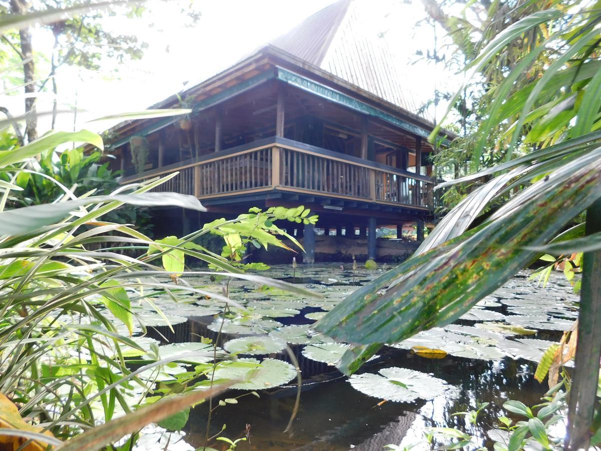 Rainforest Eco Lodge Suva Kültér fotó