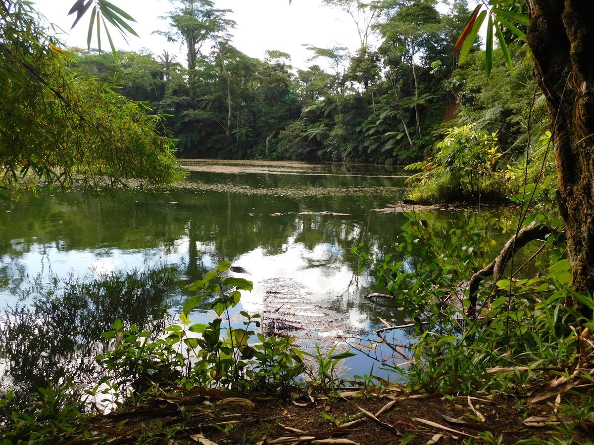 Rainforest Eco Lodge Suva Kültér fotó