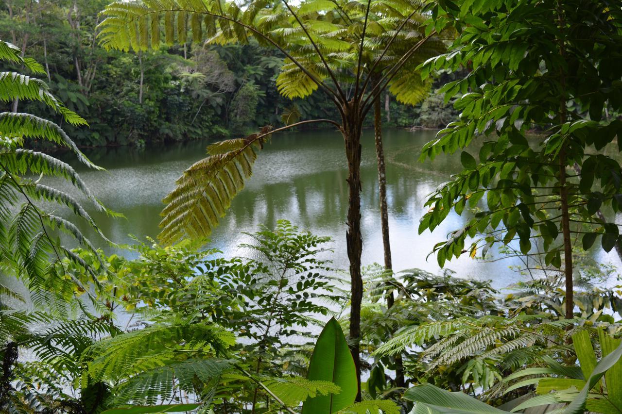 Rainforest Eco Lodge Suva Kültér fotó