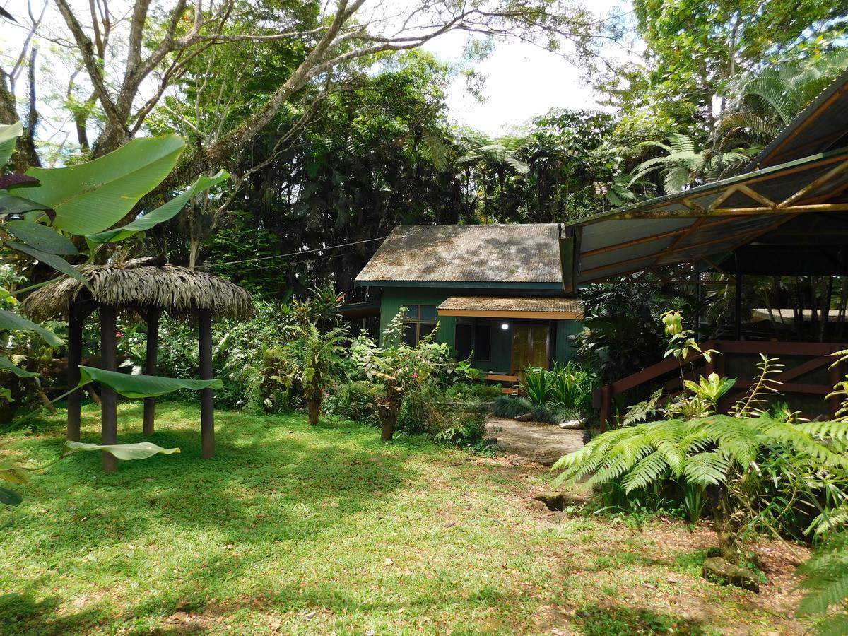 Rainforest Eco Lodge Suva Kültér fotó