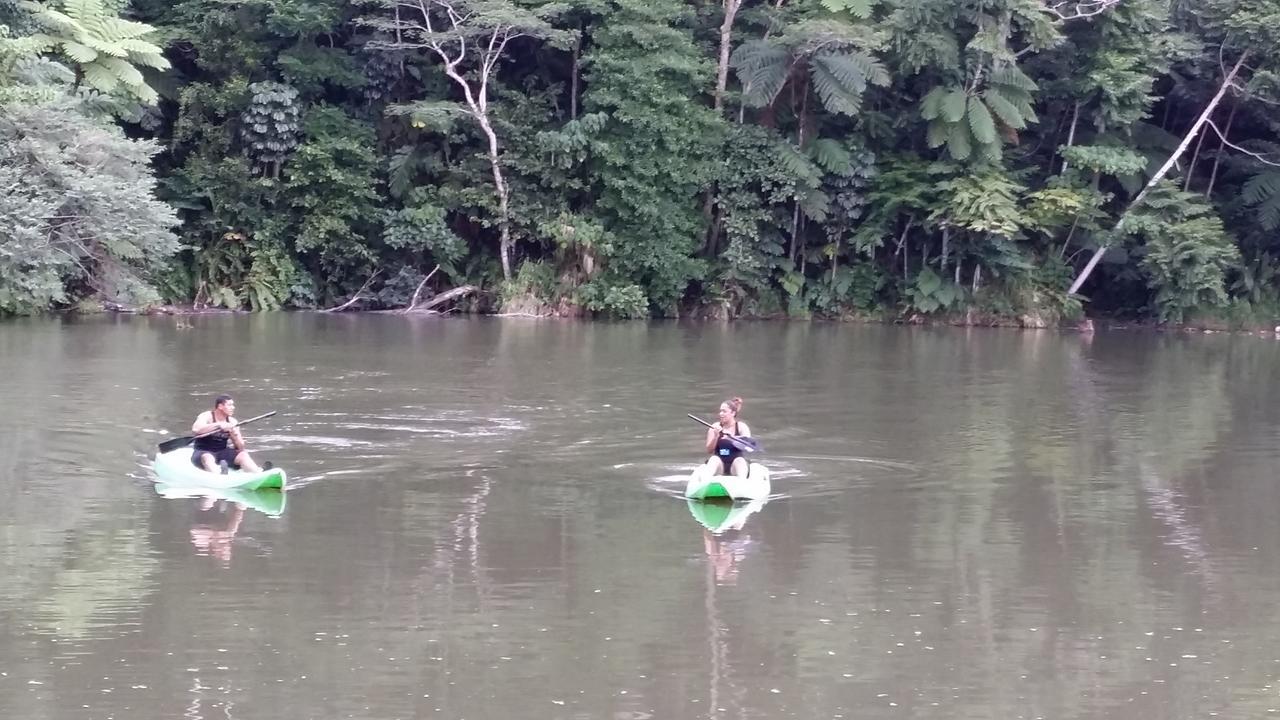 Rainforest Eco Lodge Suva Kültér fotó