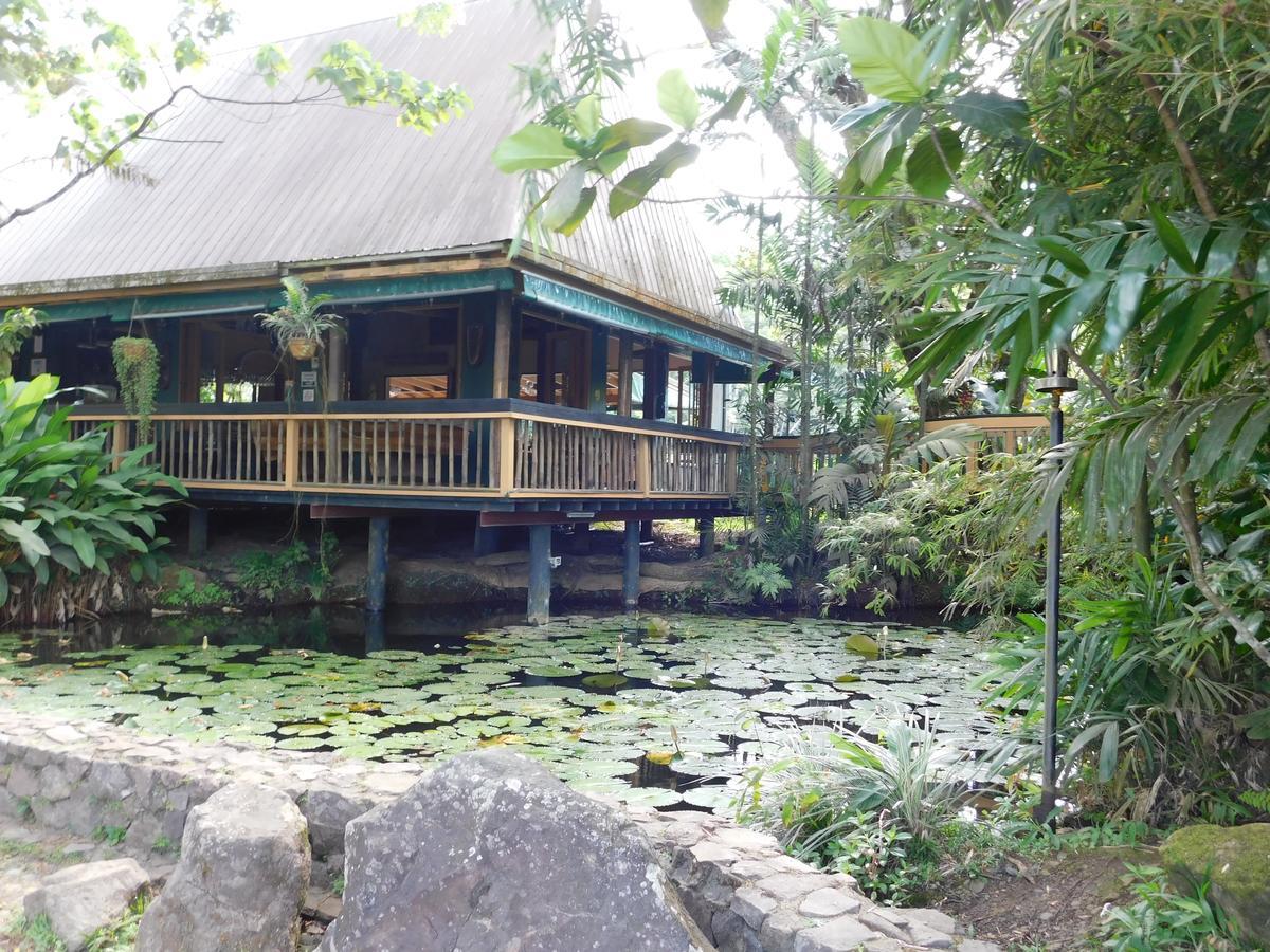 Rainforest Eco Lodge Suva Kültér fotó