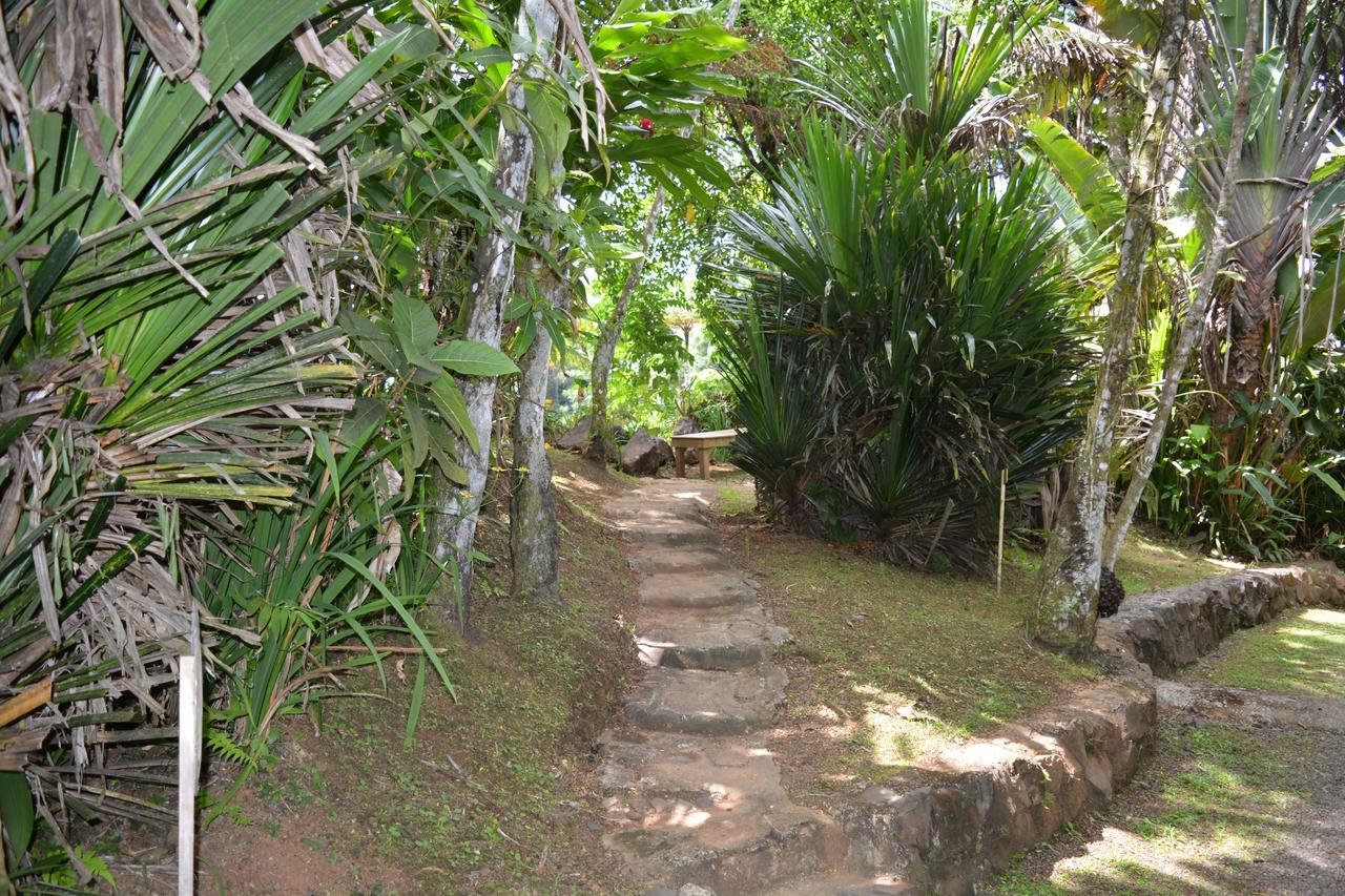 Rainforest Eco Lodge Suva Kültér fotó