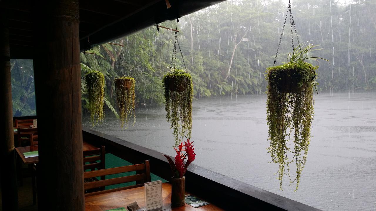 Rainforest Eco Lodge Suva Kültér fotó