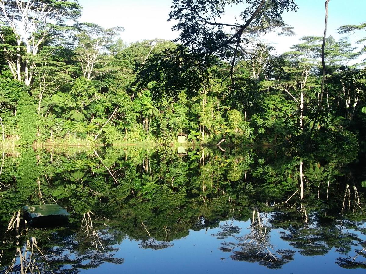 Rainforest Eco Lodge Suva Kültér fotó