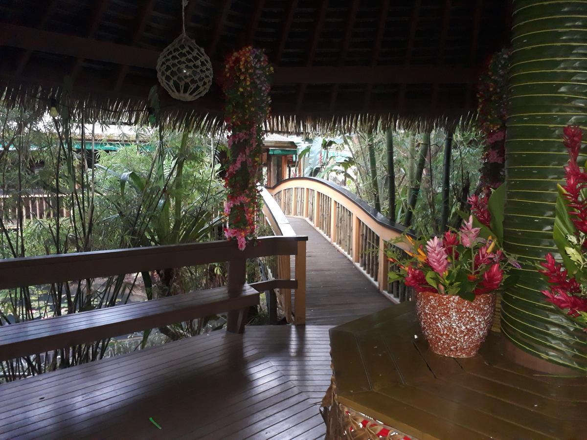 Rainforest Eco Lodge Suva Kültér fotó