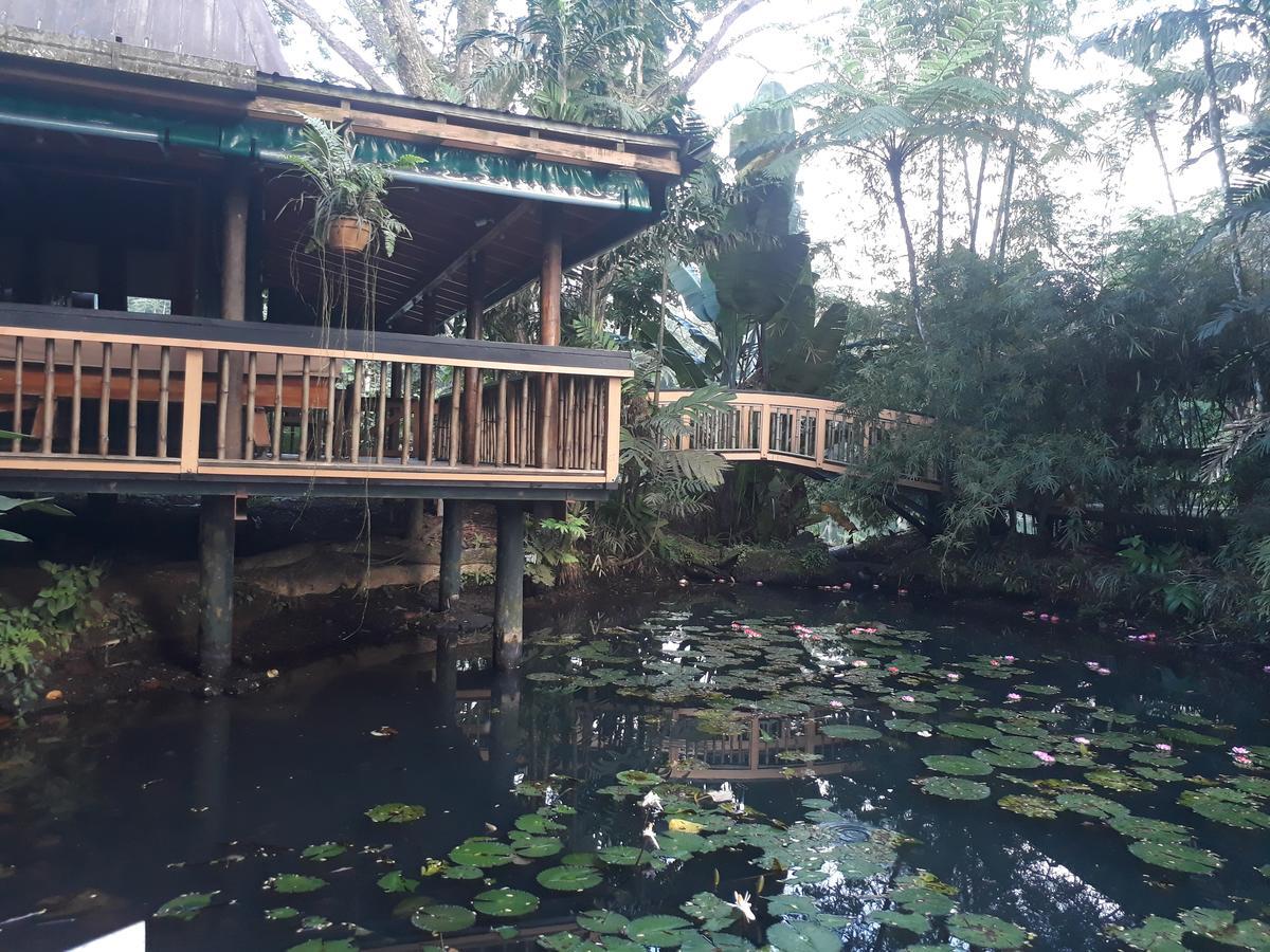 Rainforest Eco Lodge Suva Kültér fotó