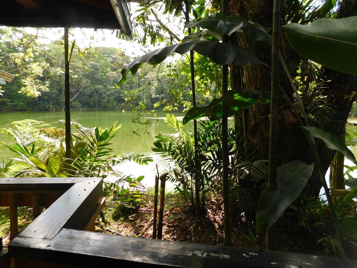 Rainforest Eco Lodge Suva Kültér fotó