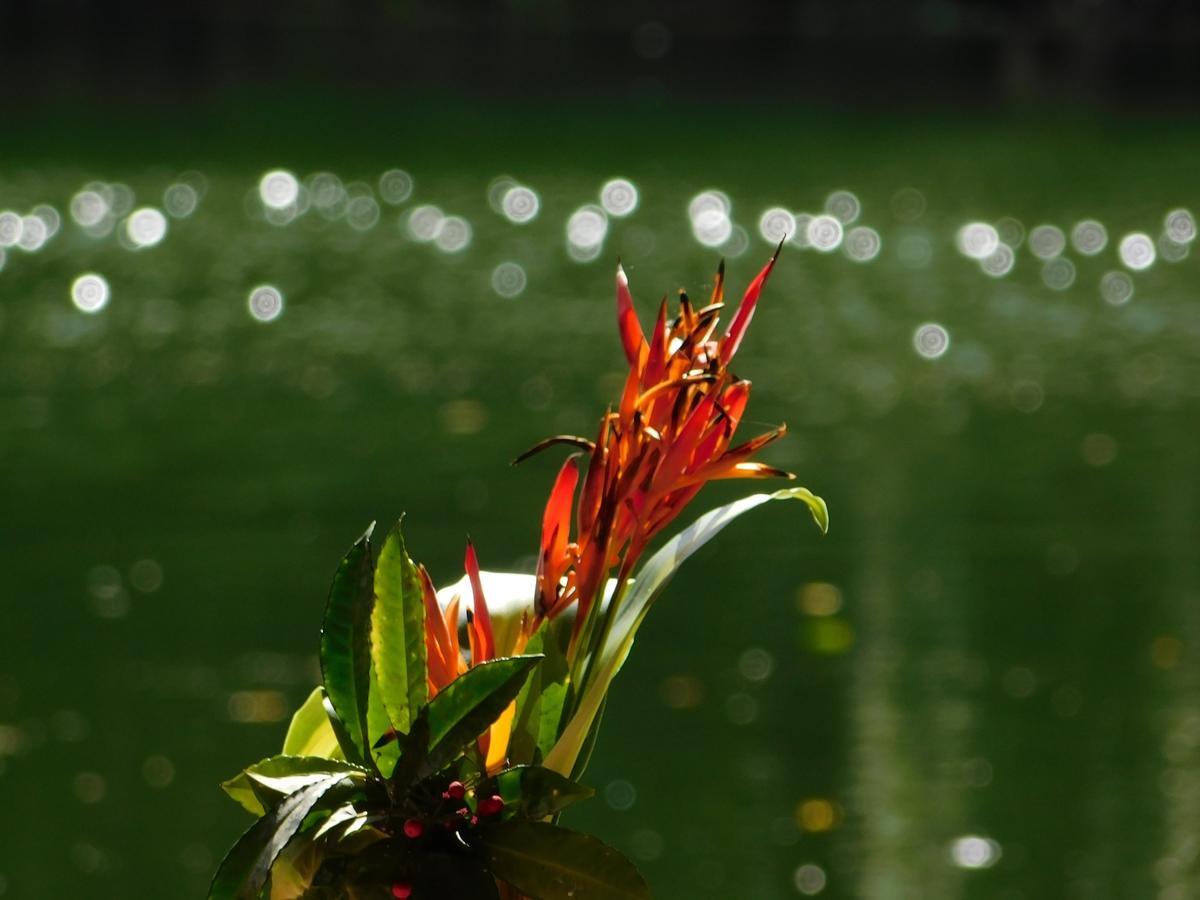 Rainforest Eco Lodge Suva Kültér fotó