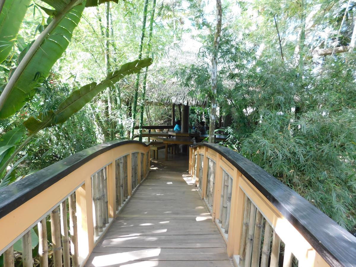 Rainforest Eco Lodge Suva Kültér fotó