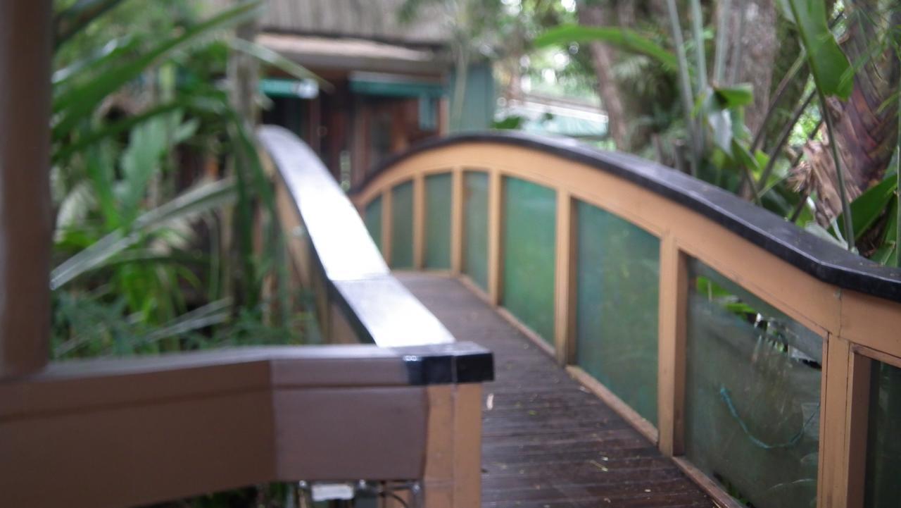 Rainforest Eco Lodge Suva Kültér fotó