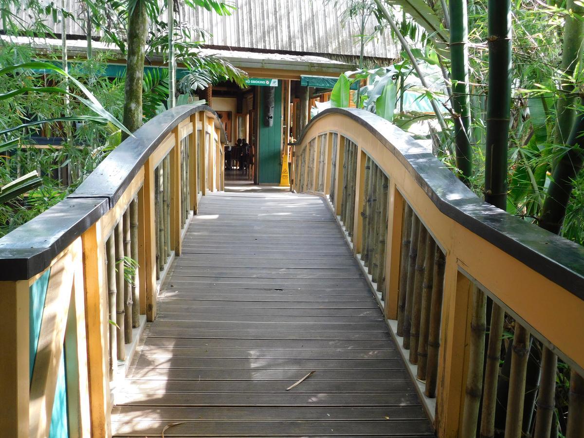 Rainforest Eco Lodge Suva Kültér fotó